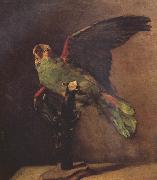 The Green Parrot (nn04)